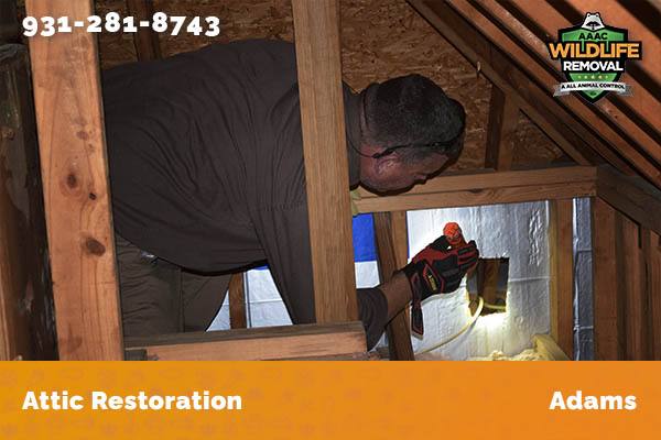 Attic Restoration Adams