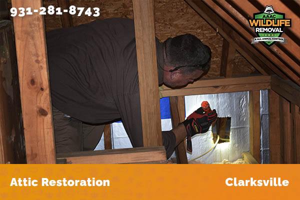 Attic Restoration Clarksville