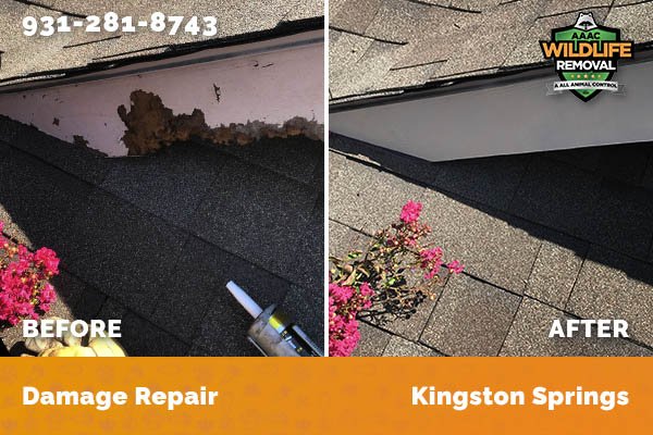 Before and After photo of Raccoon damage repair in Kingston Springs